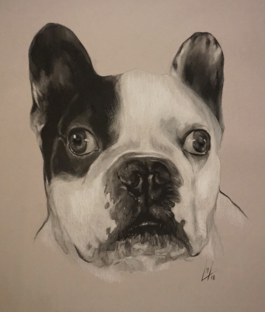 Retrato a pastel de Coco realizado por la Artista Plástica Inma Peña en 2018