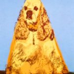 Cocker Spaniel, Warhol