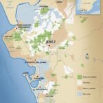 Novedades en la Denominación de Origen