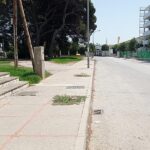 “Arbolicidio” en Jerez