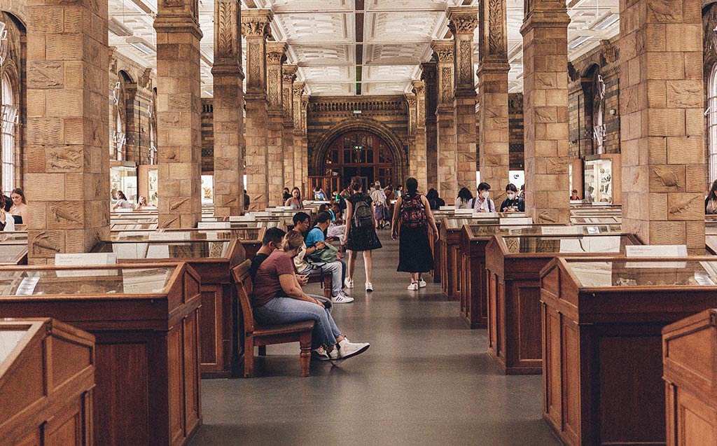 Comunicación e información en los Museos